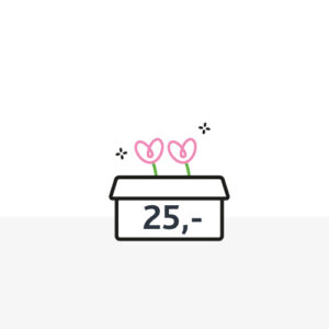 Boeketgeluk Bloembox 25