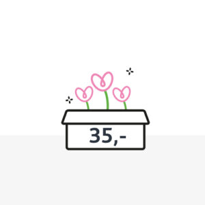 Boeketgeluk Bloembox 35