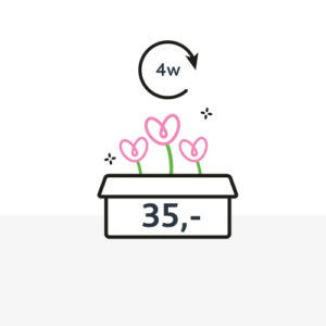 Bloembox (middel A4)