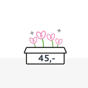 Boeketgeluk Bloembox 45