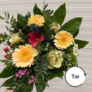 Boeketgeluk Boeket Gerbera lichtgeel wekelijks