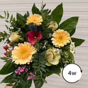 Boeketgeluk Boeket Gerbera lichtgeel 4 wekelijks